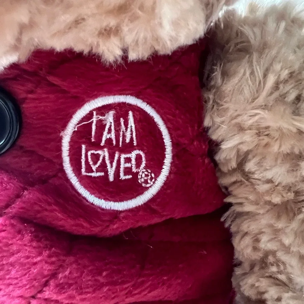 Helzberg Diamonds 2010 Limited Edition I Am Loved Teddy Bear Tan Plush 15 inch